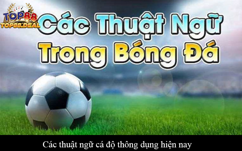 Các thuật ngữ cá độ thông dụng hiện nay