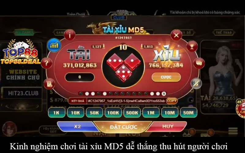 Kinh nghiệm chơi tài xỉu MD5 dễ thắng thu hút người chơi