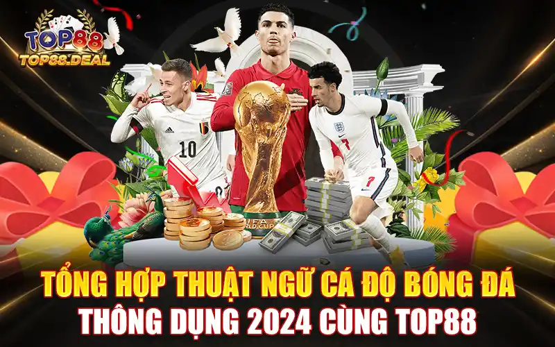 tổng hợp thuật ngữ cá độ bóng đá thông dụng 2024